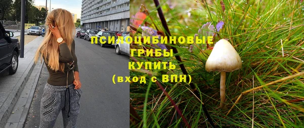 крисы Зерноград