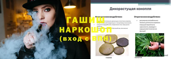 крисы Зерноград