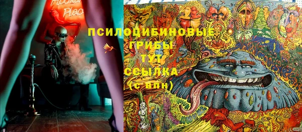 PSILOCYBIN Зеленодольск