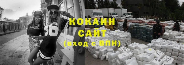 крисы Зерноград