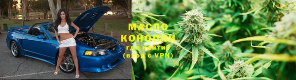крисы Зерноград