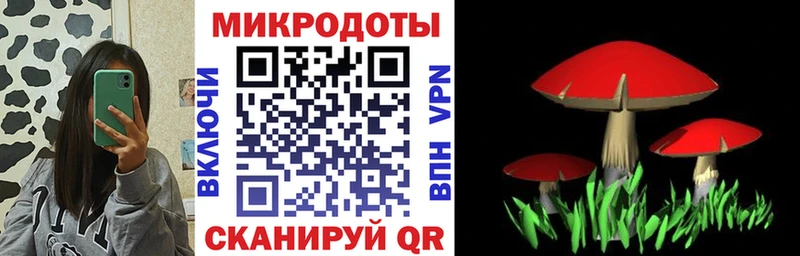 Псилоцибиновые грибы прущие грибы  Купить  Дубовка 